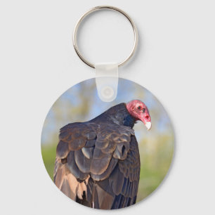Turkey vulture perched on trunk key ring