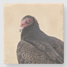 Turkey Vulture Portrait Stone Coaster