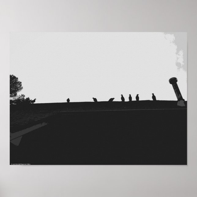 Turkey Vulture,  Poster (Front)