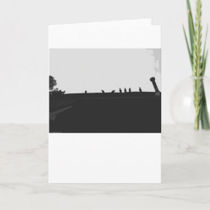Turkey Vulture Silhouette, card