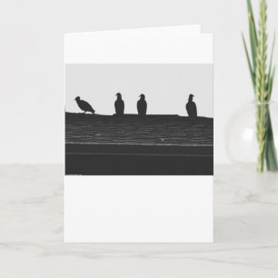 Turkey Vulture Silhouette, card