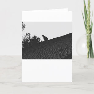 Turkey Vulture Silhouette, card