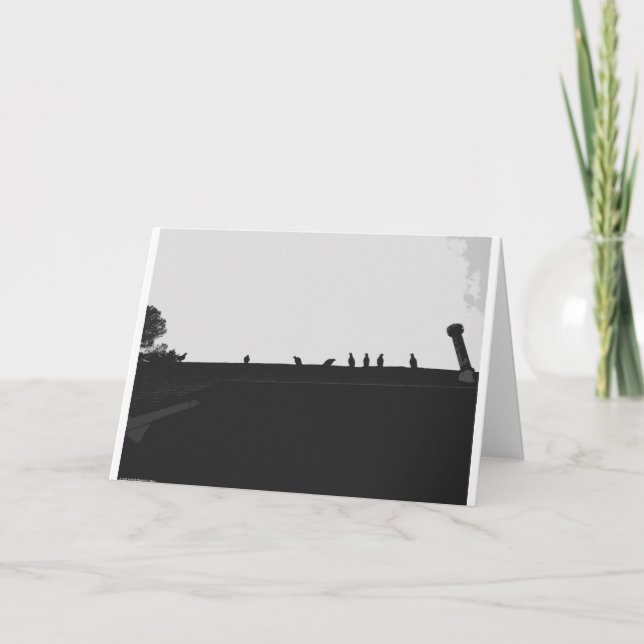 Turkey Vulture Silhouette, card (Front)
