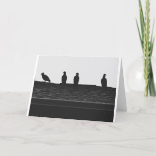 Turkey Vulture Silhouette, card