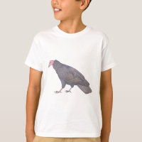 Turkey Vulture watercolor bird species art