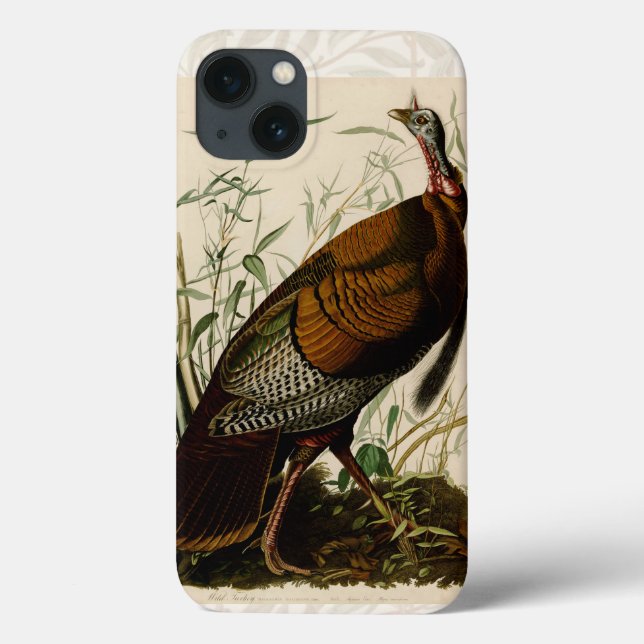 Turkey Wild Audubon Bird Painting Case-Mate iPhone Case (Back)