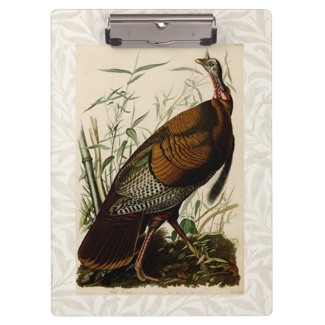 Turkey Wild Audubon Bird Painting Clipboard (Front)
