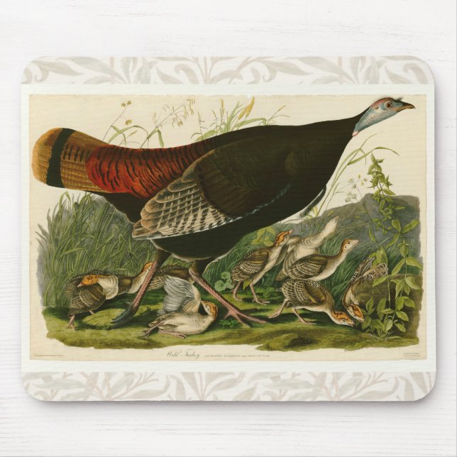 Turkey Wild Audubon Bird Painting Mouse Mat (Front)