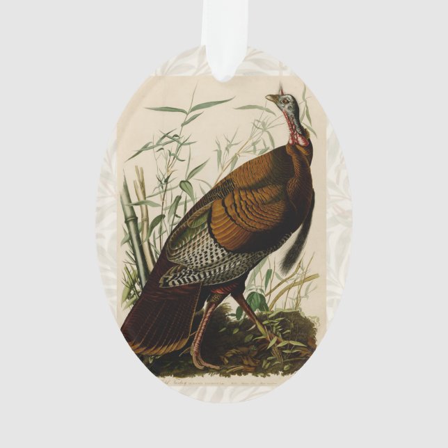 Turkey Wild Audubon Bird Painting Ornament (Back)