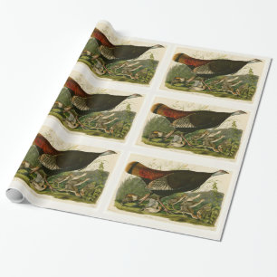 Turkey Wild Audubon Bird Painting Wrapping Paper