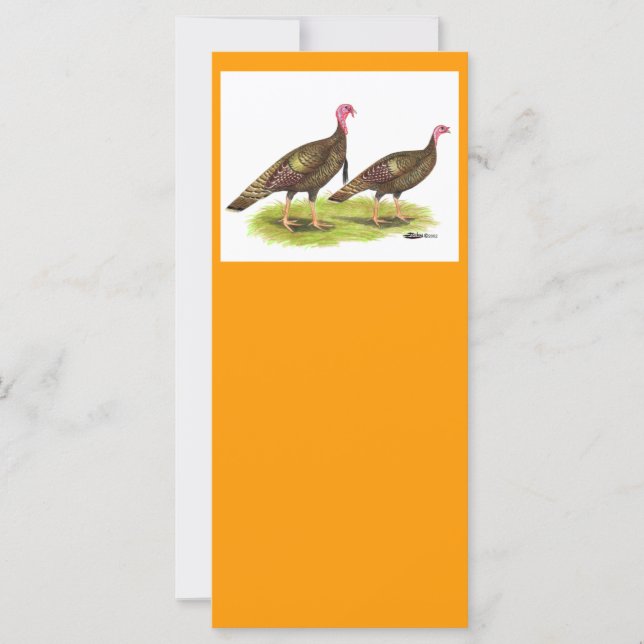 Turkey:  Wild Bronze (Front)