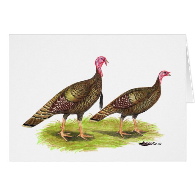 Turkey:  Wild Bronze (Front Horizontal)