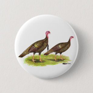 Turkey:  Wild Bronze 6 Cm Round Badge