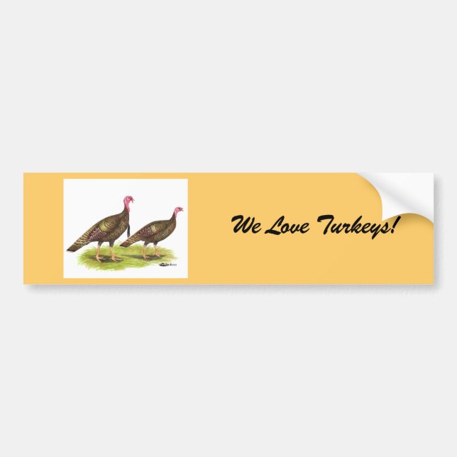 Turkey:  Wild Bronze Bumper Sticker (Front)