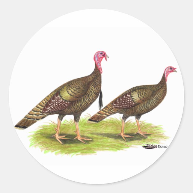 Turkey:  Wild Bronze Classic Round Sticker (Front)