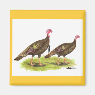 Turkey: Wild Bronze Magnet