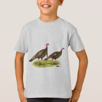 Turkey: Wild Bronze