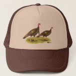 Turkey:  Wild Bronze Trucker Hat<br><div class="desc">Wild turkeys were once widespread over the continental United States,  they are starting to make gains in many areas again.</div>