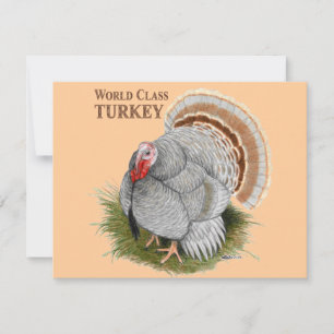 Turkey: World Class Invitation