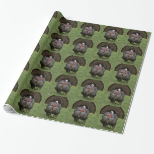 Turkey Wrapping Paper