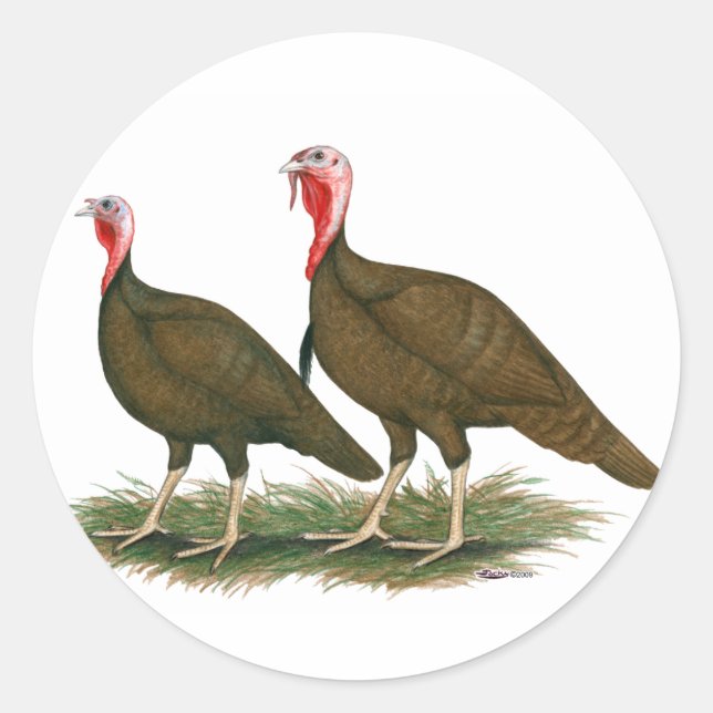 Turkeys:  Chocolate Classic Round Sticker (Front)