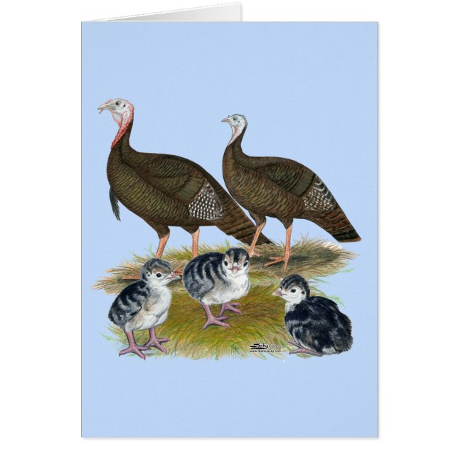 Turkeys Eastern Wild Family (Front)