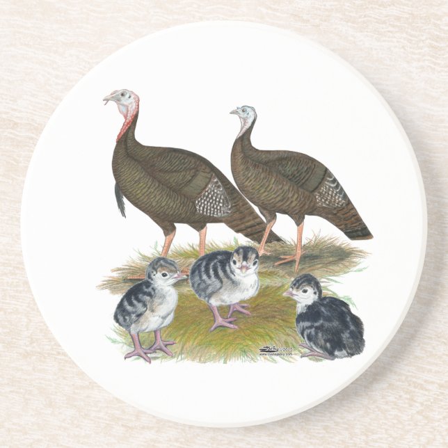 Turkeys Eastern Wild Family Coaster (Front)