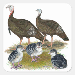 Turkeys Eastern Wild Family Square Sticker
