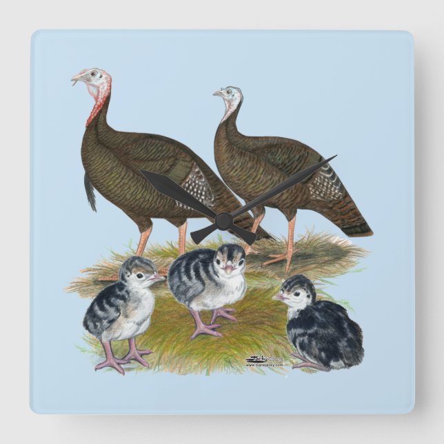 Turkeys Eastern Wild Family Square Wall Clock (Front)