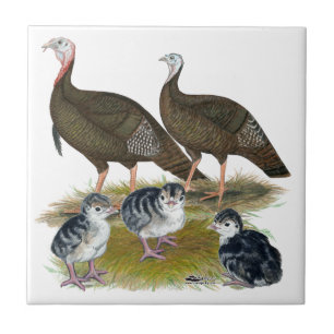 Turkeys Eastern Wild Family Tile