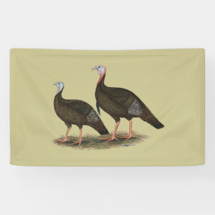 Turkeys Eastern Wild Pair Banner
