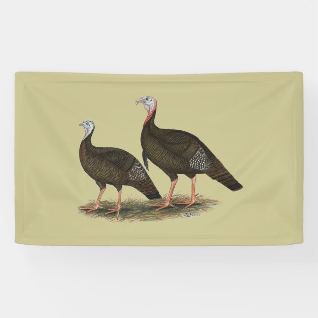 Turkeys Eastern Wild Pair Banner (Horizontal)