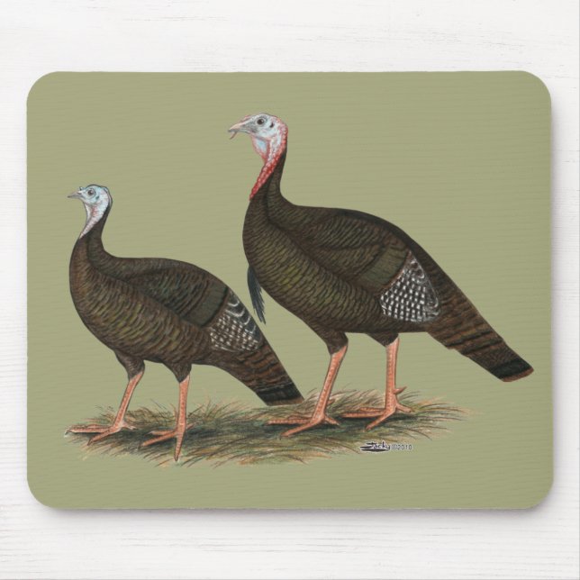 Turkeys Eastern Wild Pair Mouse Mat (Front)