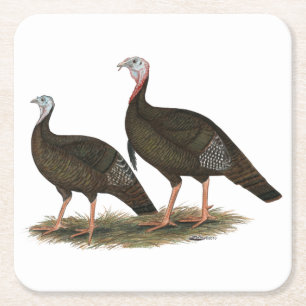 Turkeys Eastern Wild Pair Square Paper Coaster