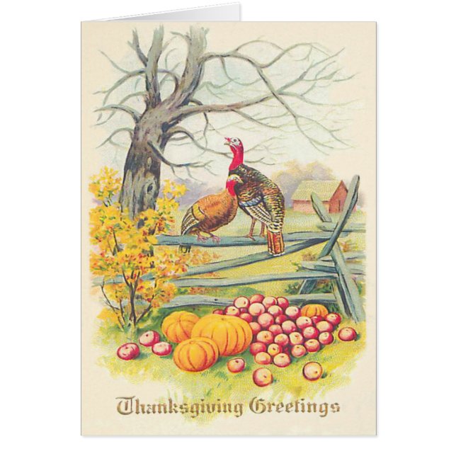 Turkeys Farm Pumpkin Apples Tree Fall Leaves (Front)