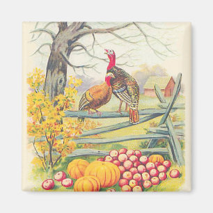 Turkeys Farm Pumpkin Apples Tree Fall Leaves Magnet