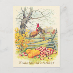 Turkeys Farm Pumpkin Apples Tree Fall Leaves Postcard