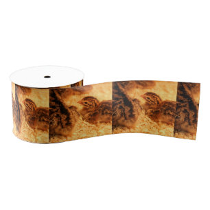 Turkeys Grosgrain Ribbon
