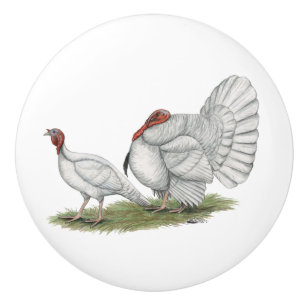 Turkeys White Holland Ceramic Knob
