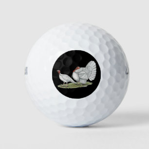 Turkeys White Holland Golf Balls