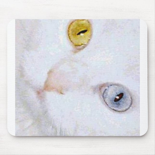 Turkish Angora- 2 different eye colours Mouse Mat (Front)