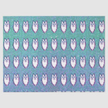 Turkish Angora Cat - Blue Eyed Angora