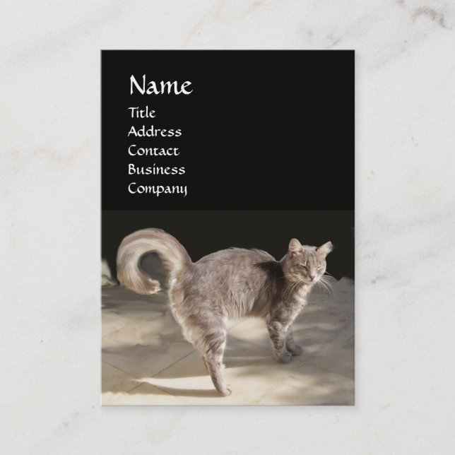 TURKISH CAT BUSINESS CARD (Front)