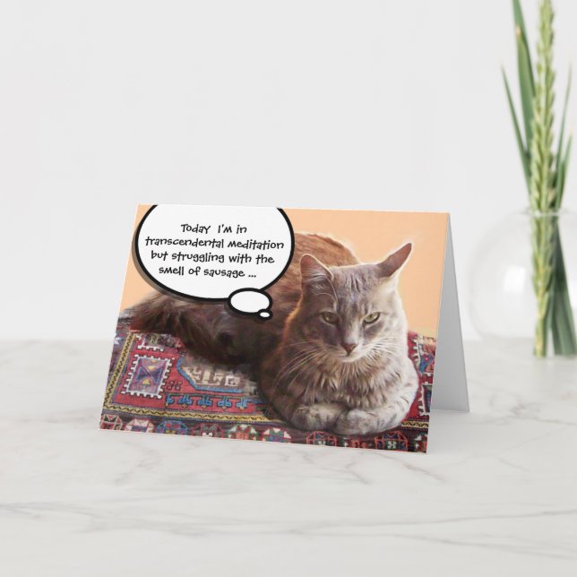 TURKISH CAT IN  TRANSCENDENTAL MEDITATION CARD (Front)