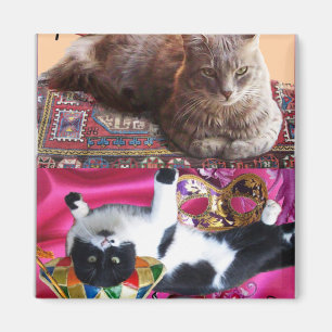 TURKISH CAT IN  TRANSCENDENTAL MEDITATION MAGNET