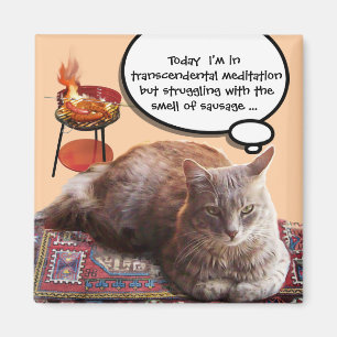 TURKISH CAT IN  TRANSCENDENTAL MEDITATION MAGNET