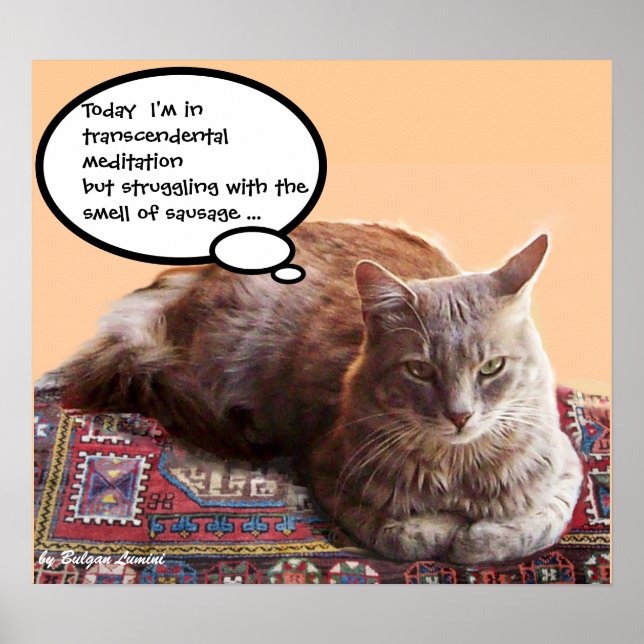 TURKISH CAT IN  TRANSCENDENTAL MEDITATION POSTER (Front)
