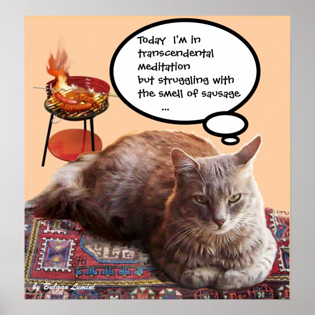 TURKISH CAT IN  TRANSCENDENTAL MEDITATION POSTER (Front)