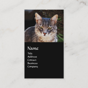 TURKISH CAT MONOGRAM BUSINESS CARD