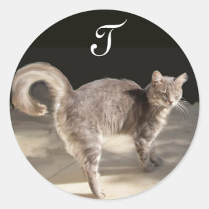 TURKISH CAT Monogram Classic Round Sticker